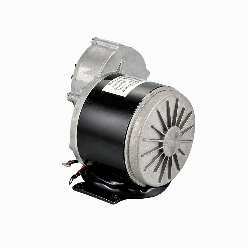 Motoréducteur à courant continu brossé de 24V CC 350W 1016Z